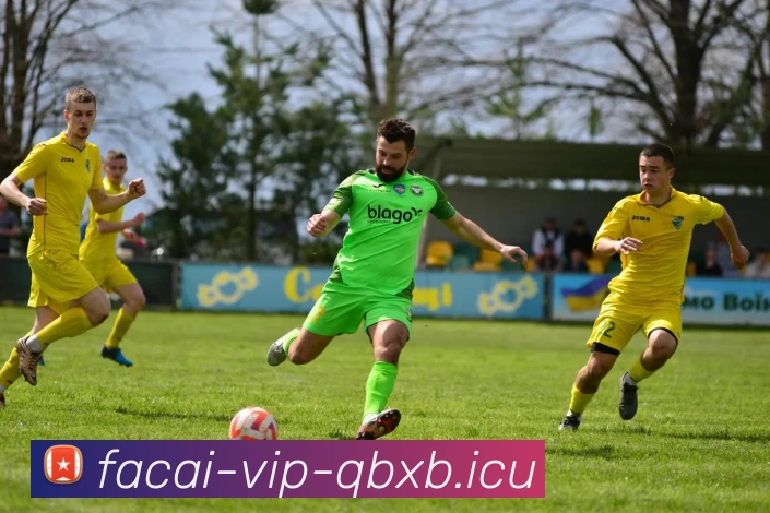 爱游戏体育平台生态图